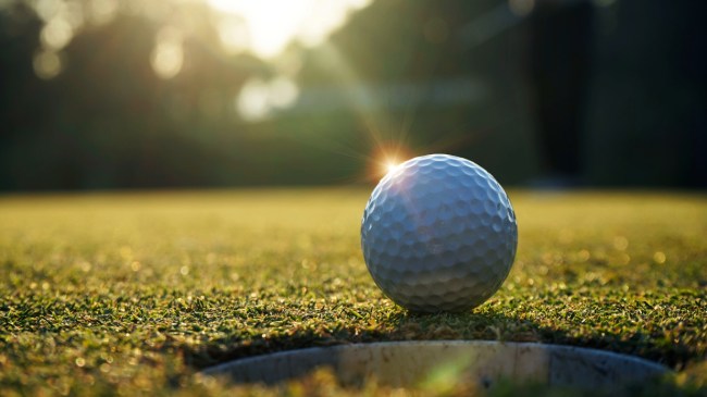 A golf ball sits just before the cup.