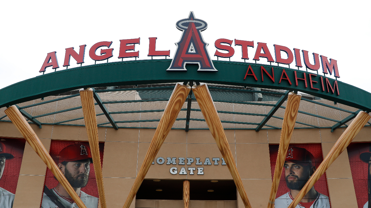 Man sues Angels after he was allegedly blinded by a baseball during game