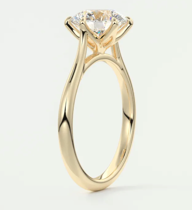 Frank Darling Cathedral Royale Round Engagement Ring