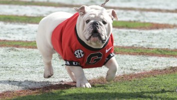 UGA Fans Boast About Difficult ’24 Slate After Being Mocked For Laughably Easy ’23 Schedule All Offseason