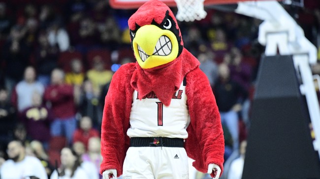 The Louisville mascot stands on the court at a basketball game.