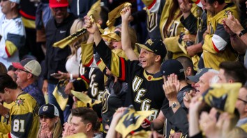 NHL Reporter Stiff Arms Golden Knights Fan To Oblivion On Live TV