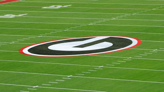 A Georgia Bulldogs logo on the field at Sanford Stadium.