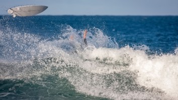 Drone Captures Pro Surfer Nathan Florence Coming Face To Face With Great White Shark
