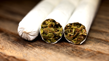 Scientists Have Figured Out How To Roll The Perfect Joint