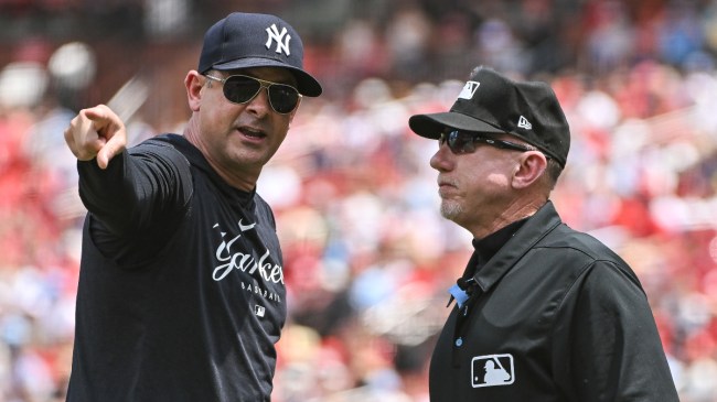 Yankees manager giving it to the MLB umpire