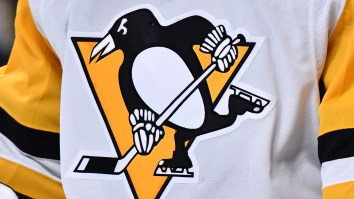 The Strange And Tragic Story Of The Pittsburgh Penguins Using An Actual Penguin As Their Mascot