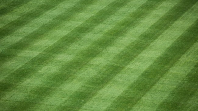 A view of the outfield grass at a baseball stadium.
