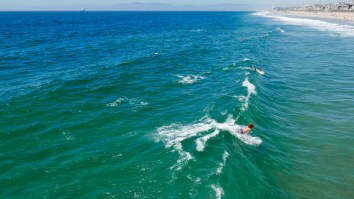 Drone Captures Footage Of Great White Shark Lurking Right By Lineup Of Surfers