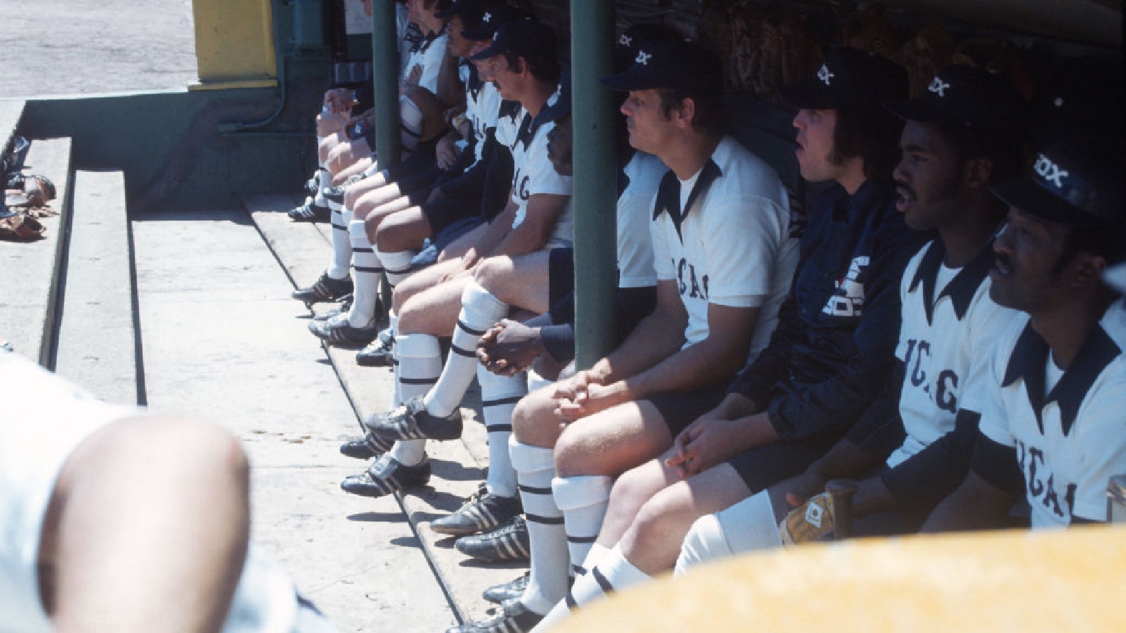 White sox best sale shorts 1976