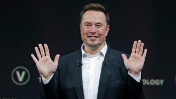 Elon Musk Continues His Petty Tirade Against Opponents With Unthinkable Move