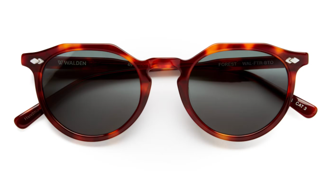 Walden Eyewear Forest Sunglasses