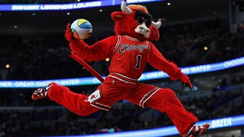 The Chicago Bulls Mascot Was Once Arrested For Trying To Flee The Police On A Tiny Motorcycle