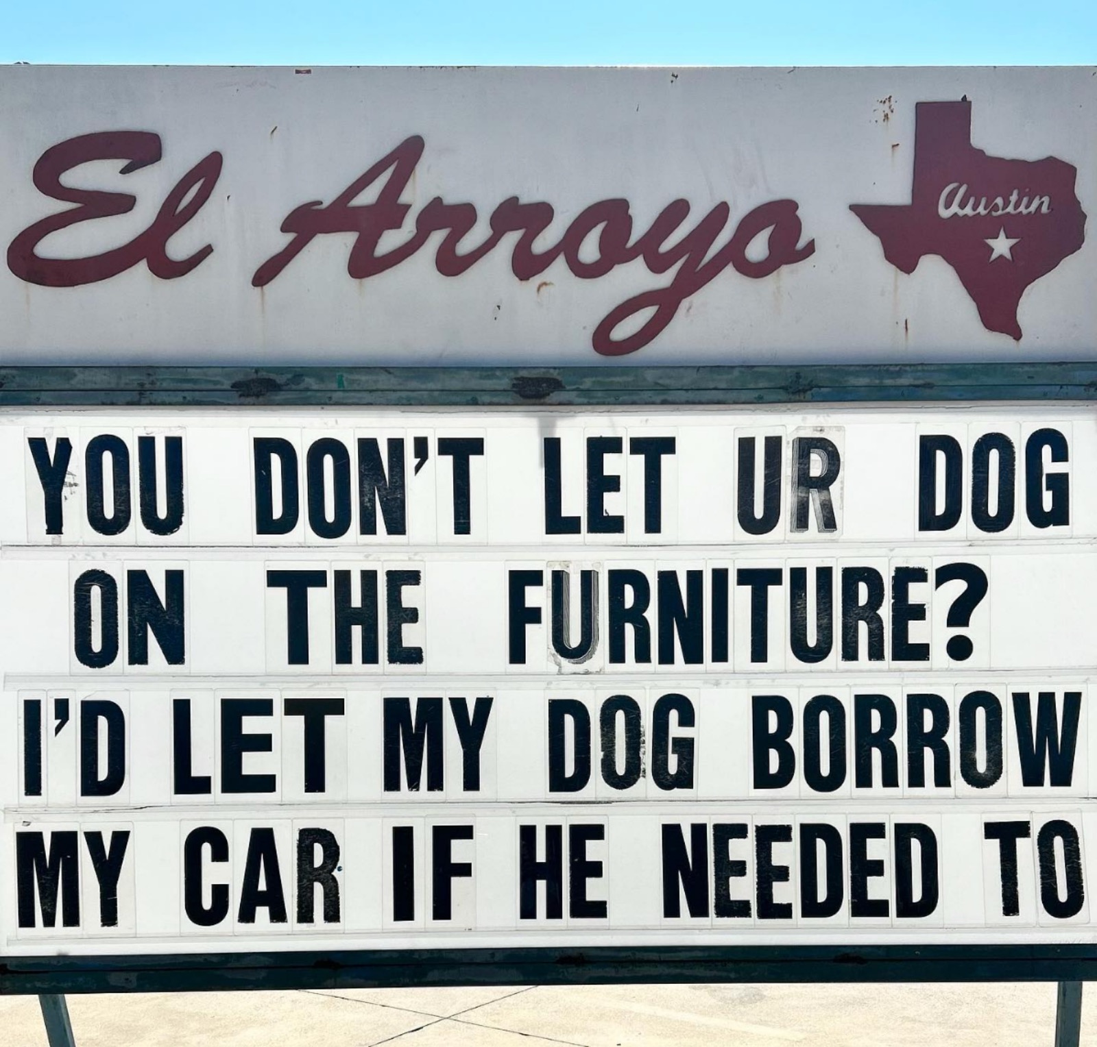 funny meme about dogs on the furniture