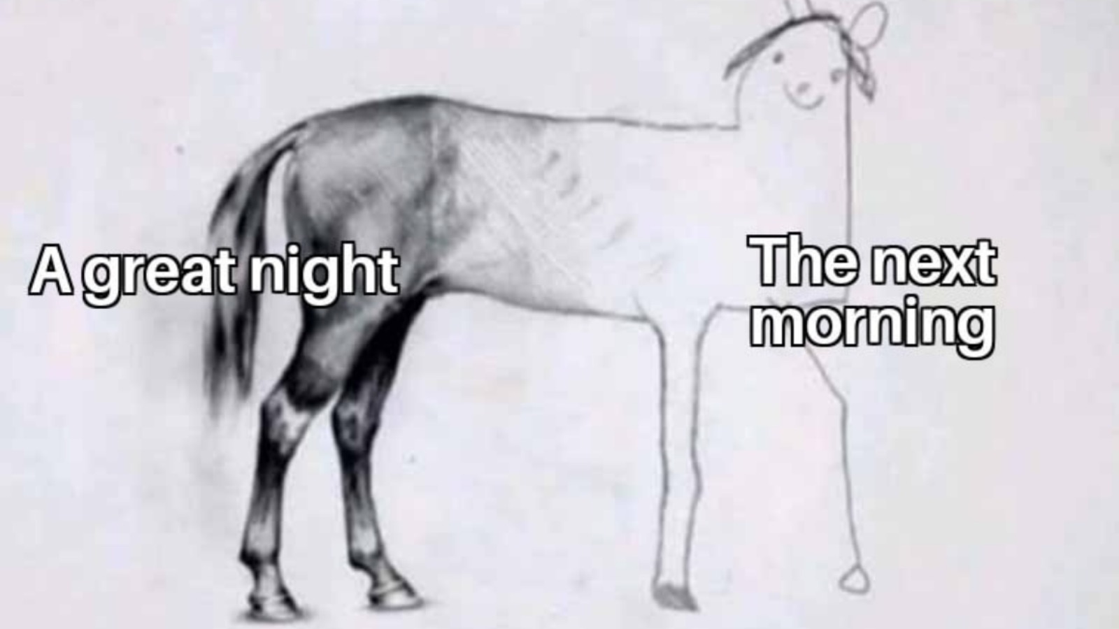 funniest meme about night vs morning
