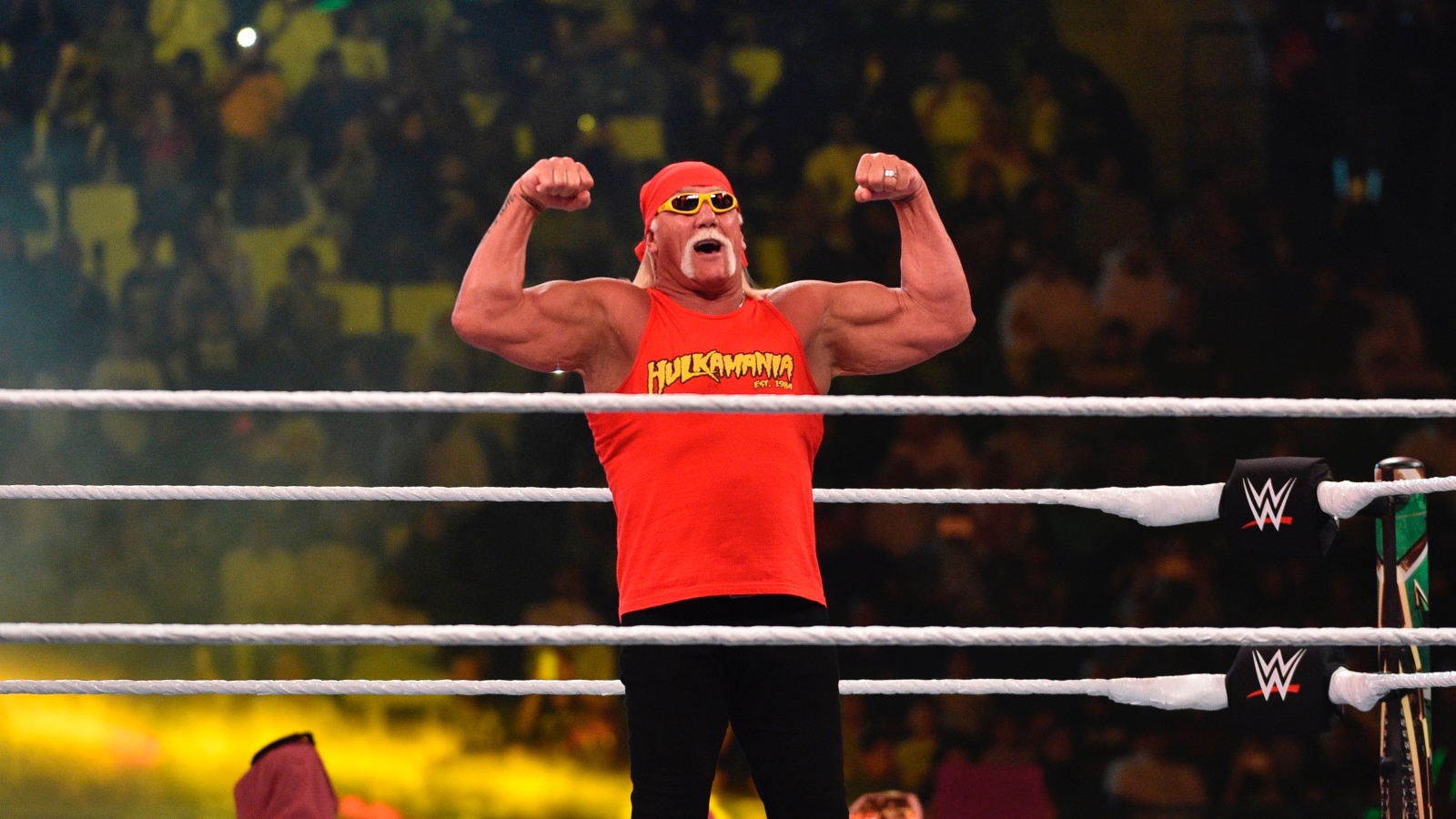 former WWE wrestler Hulk Hogan