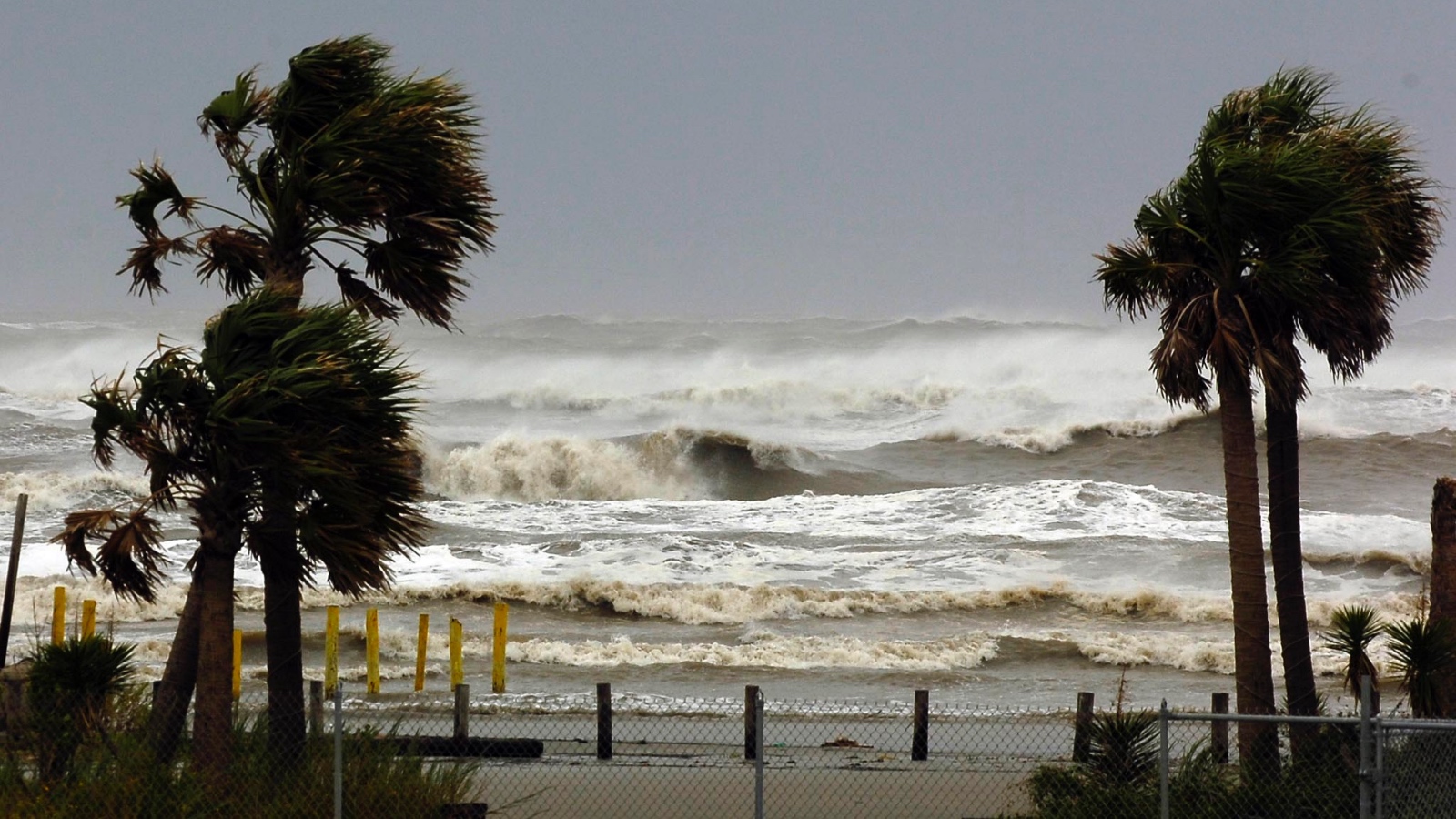 Hurricane weather with big waves and blowing palm trees