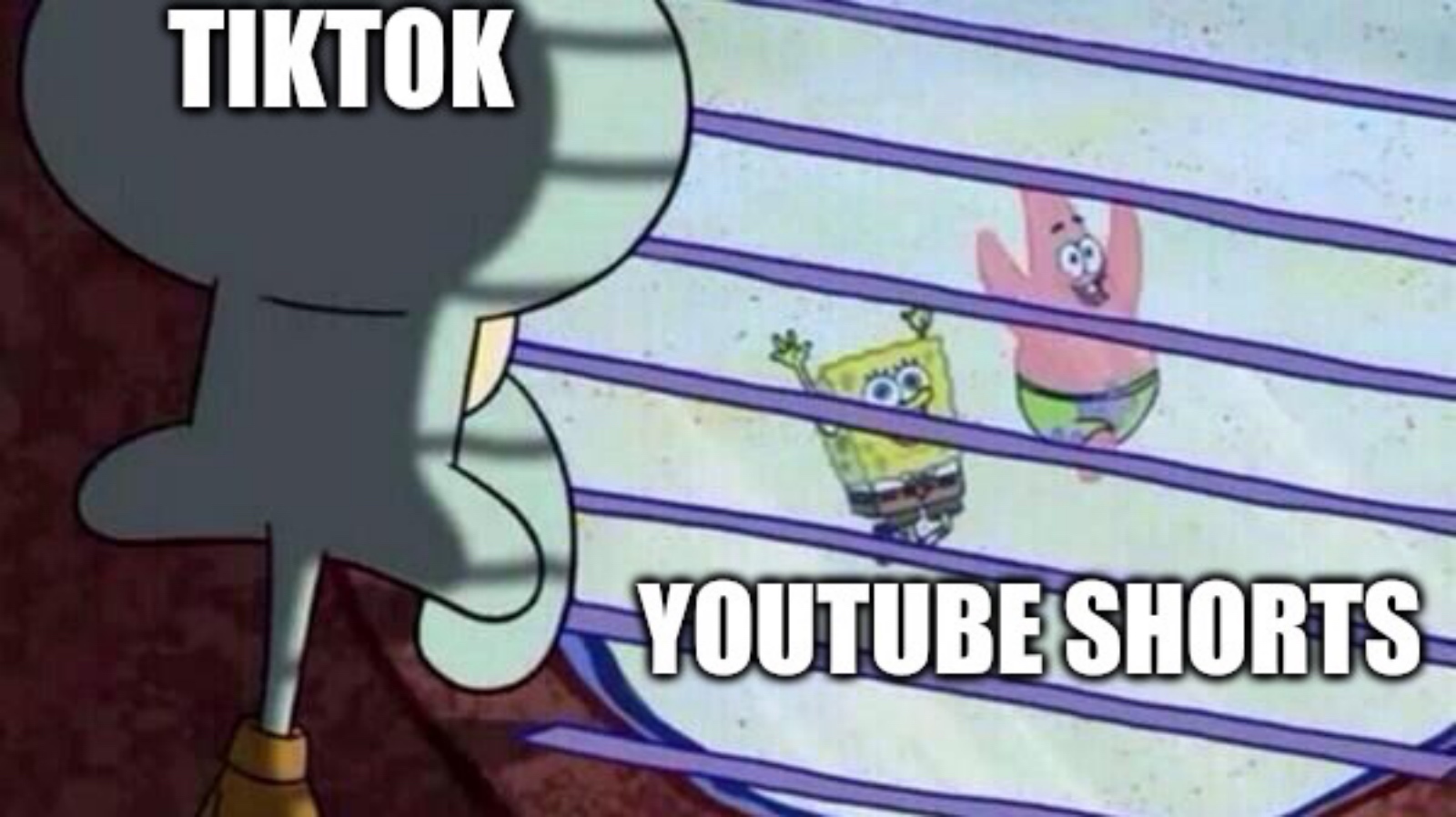 TikTok vs YouTube Shorts meme