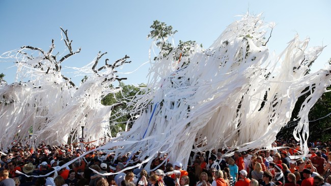 Auburn Tigers fans gather at Toomer's Corner.