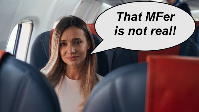 viral not real plane lady