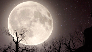 Hikers Photograph Creepy ‘Wolf Man’ In The Woods Who ‘Didn’t Take His Eyes Off’ Them