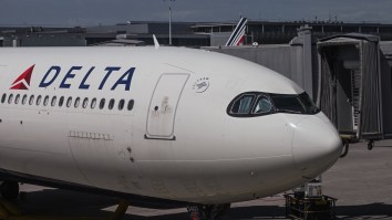 Delta Loses Passenger’s Beloved Dog As Airlines Can’t Do Anything Right