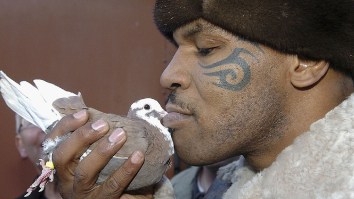 Why Is Mike Tyson Obsessed With Pigeons? Here’s A Closer Look At His Unexpected Hobby