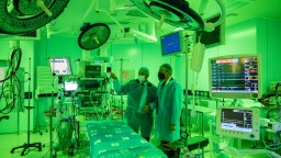 Human Gets Successful Pig Heart Transplant In Major Medical Breakthrough