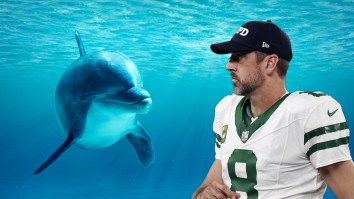 Aaron Rodgers Sets Record Straight On Bizarre Dolphin Mating Frequency Approach To Achilles Rehab