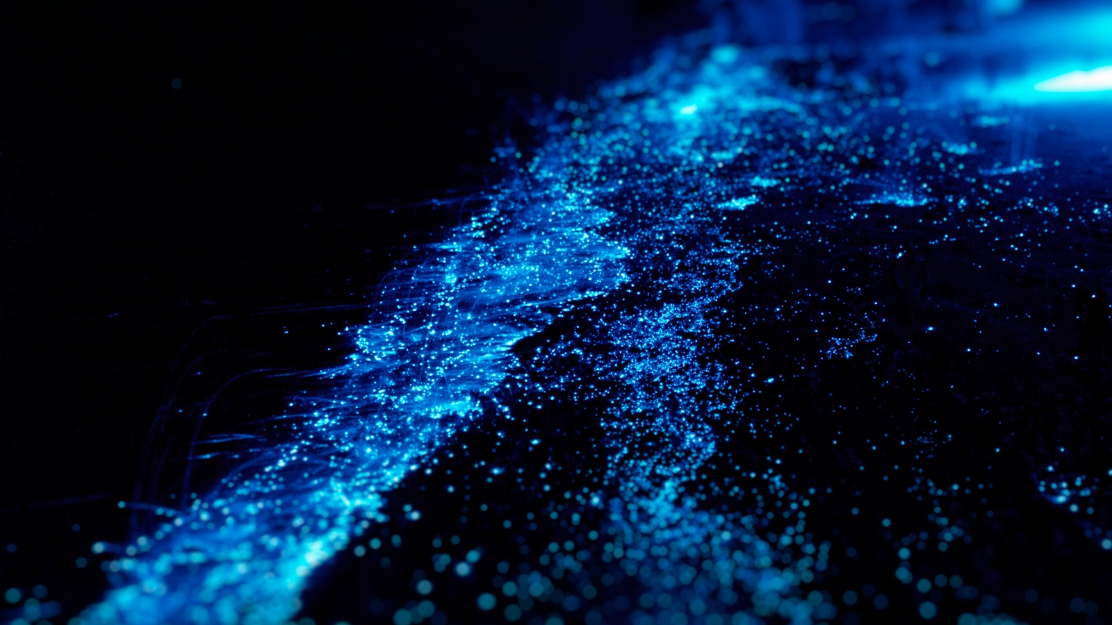 bioluminescence in water