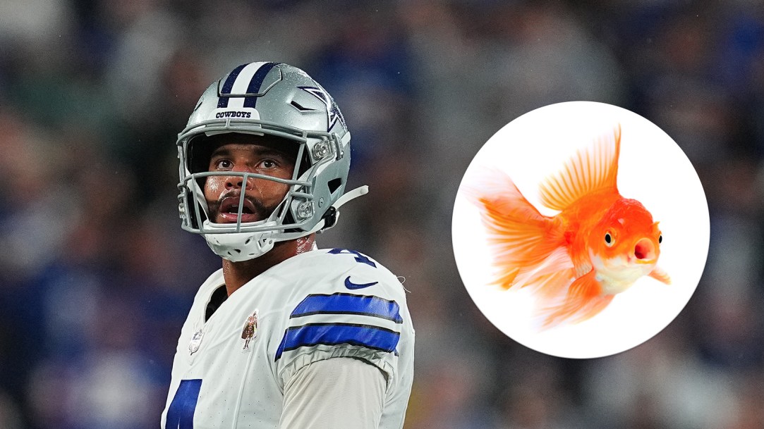 Dak Prescott Dallas Cowboys Goldfish Magic Trick Oz The Mentalist