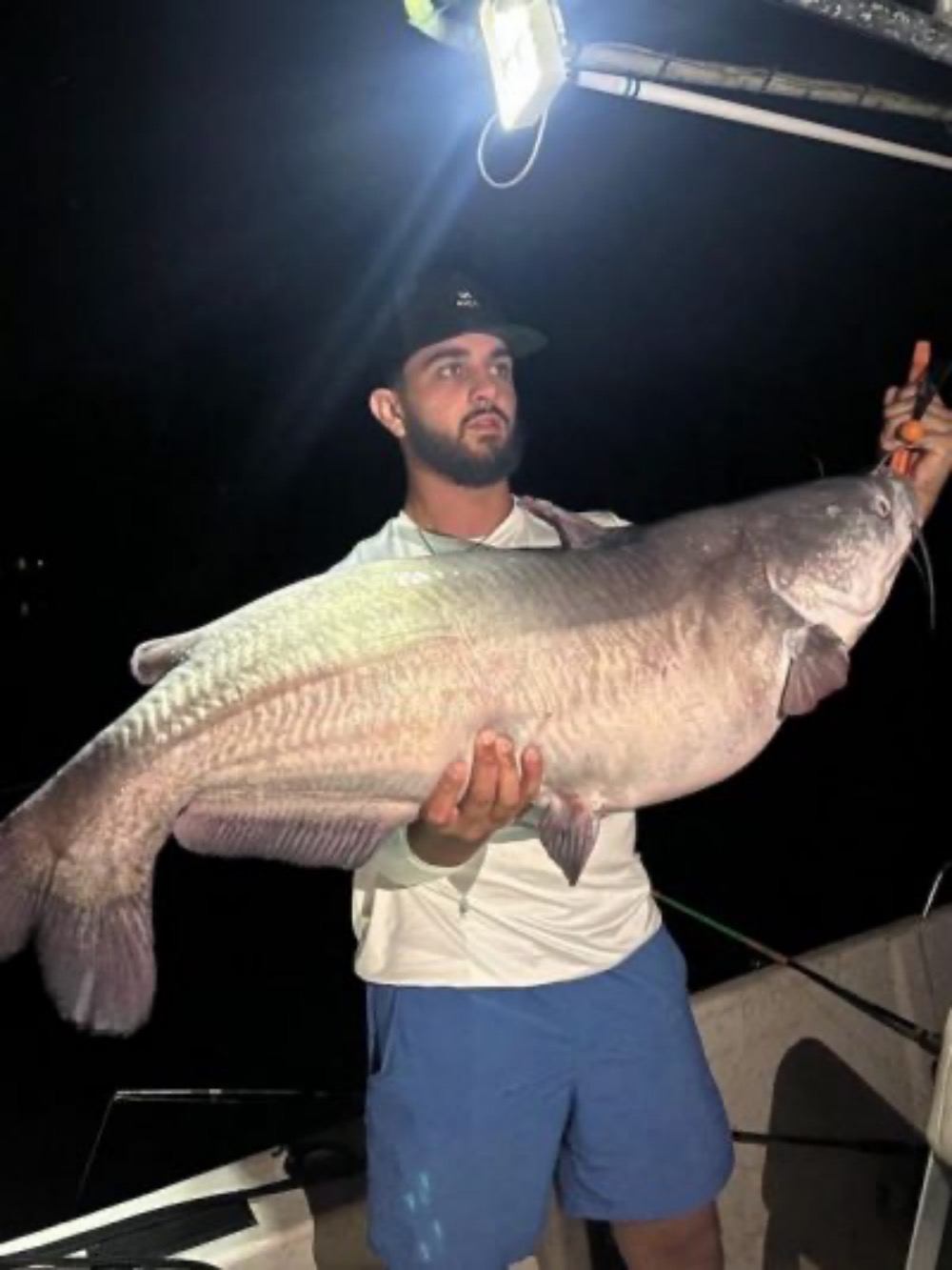 new Delaware State fishing record for Blue Catfish