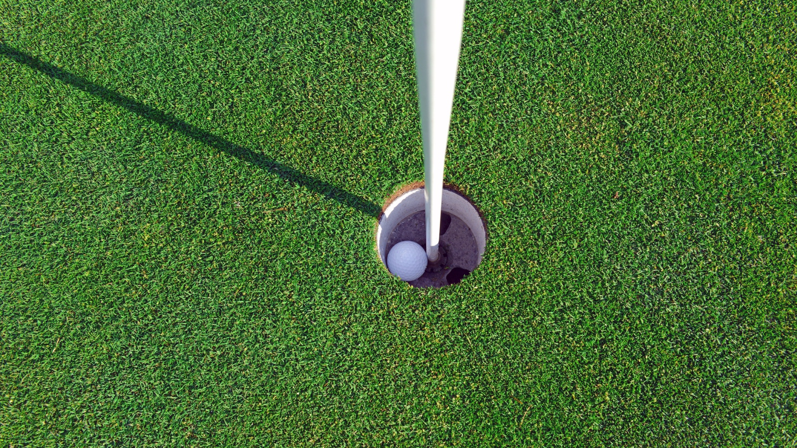 hole-in-one golf ball inside of hole