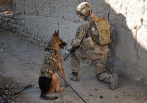 Solider with a military service German Shepard dog
