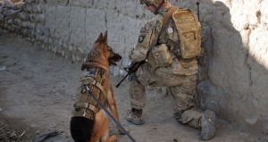 Solider with a military service German Shepard dog