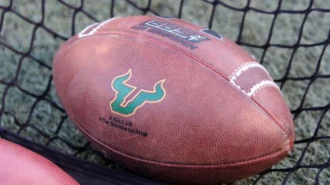 A University of South Florida logo on a football.