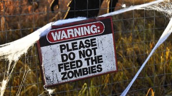These Are The 10 Best And Worst Cities To Survive A Zombie Apocalypse In