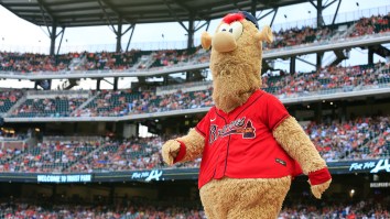 Philadelphia Phillies Fans Wage All Out War On Braves Mascot Blooper Causing Him To Break Character