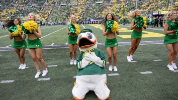 Live Duck Named Quacktavious Banned From Oregon’s Autzen Stadium In Miscarriage Of Justice