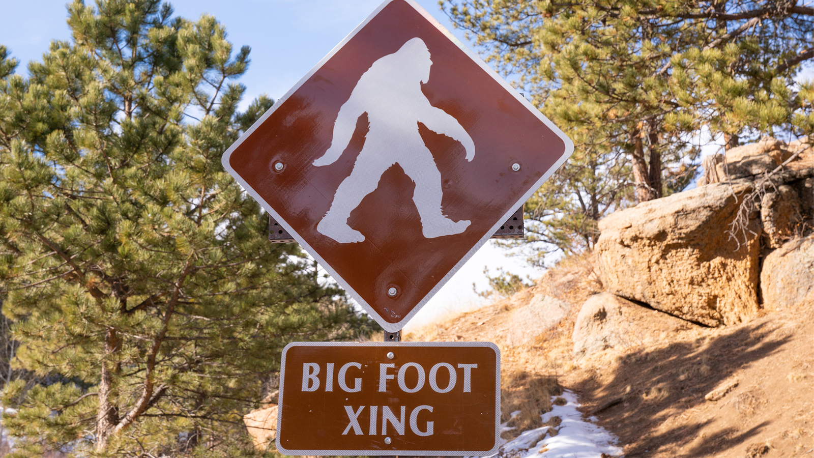 Colorado Bigfoot Video Was Probably Just A Guy In A Costume