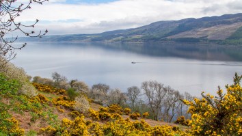 Witness Claims To Have Recorded Footage Of The Loch Ness Monster’s Offspring