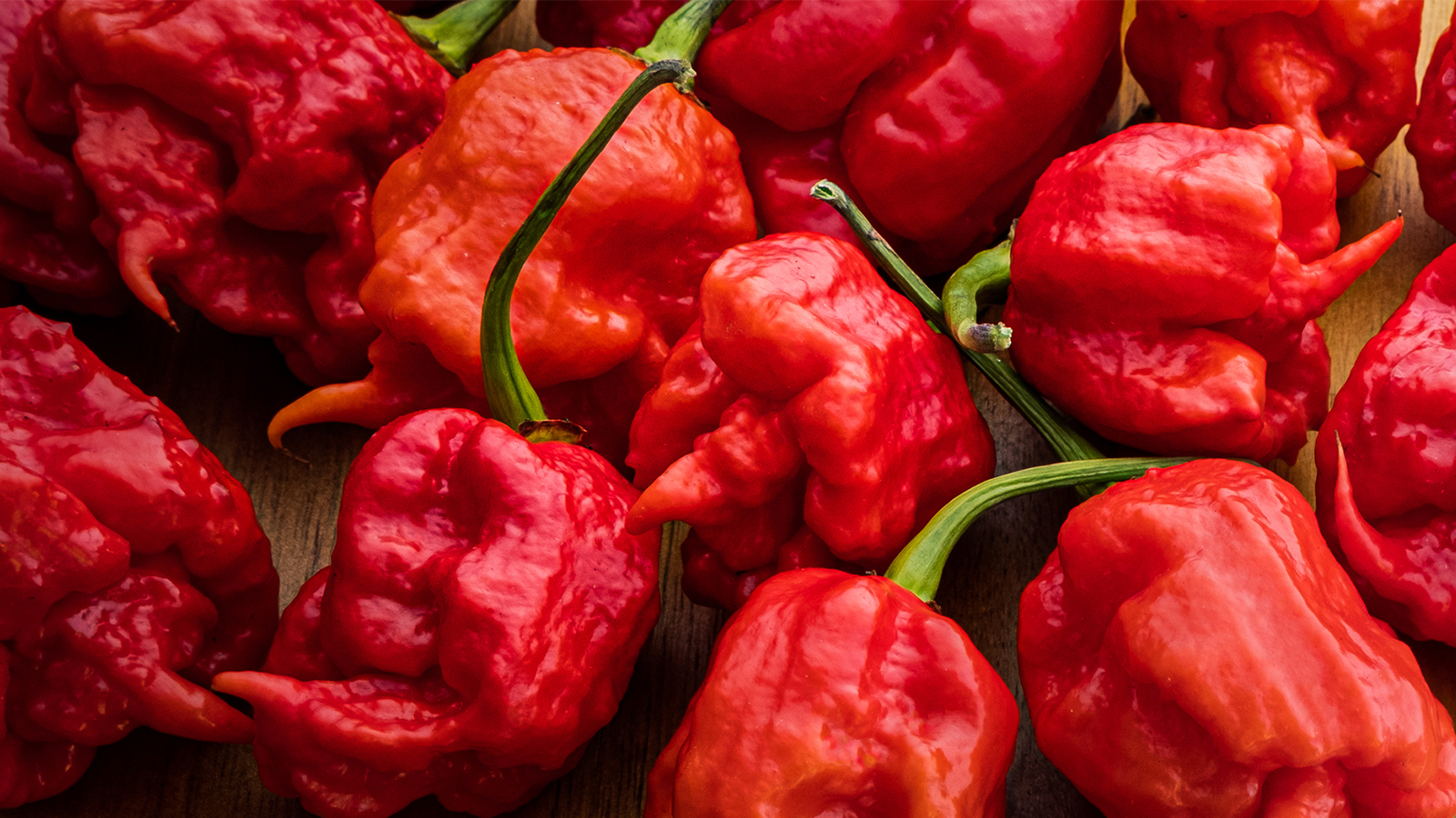 This is the record for eating the most Carolina Reaper, the