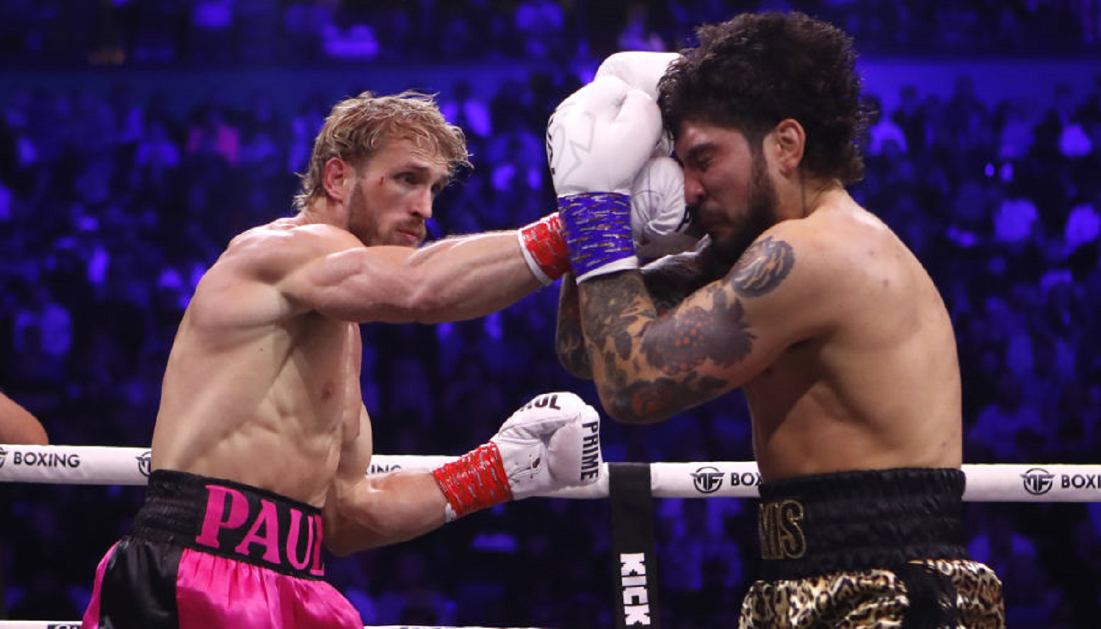 Dillon Danis Says He Didn't Train Or Have A Coach For Fight Vs Logan