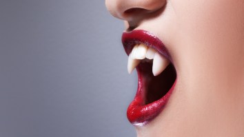 These Are The 10 Best Cities In America For Vampires According To A Seriously Unserious New Study