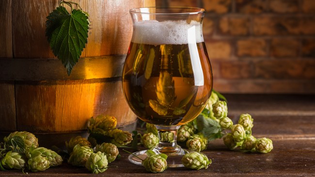 beer glass next to hops