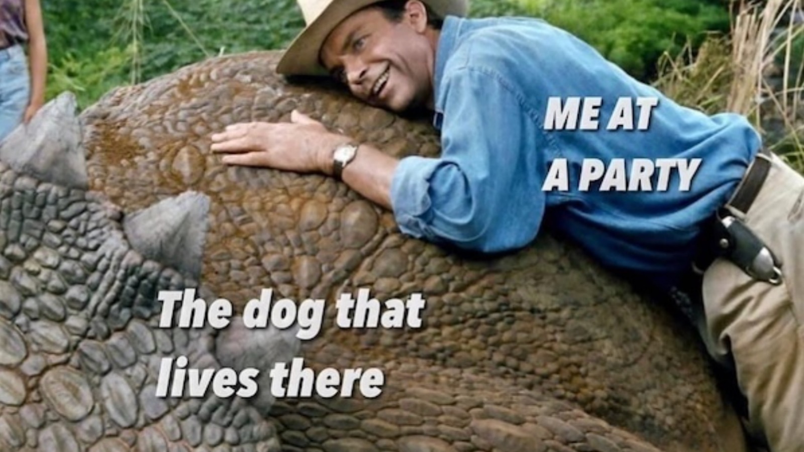 funny Jurassic Park meme with triceratops