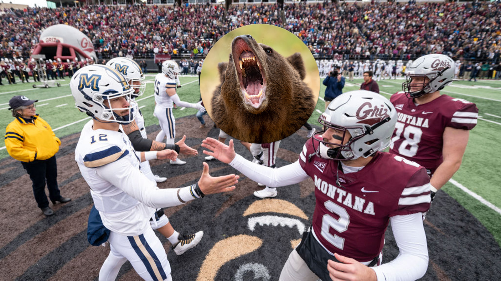 Violent Bear Attack Adds Fuel To Historic College Football Rivalry