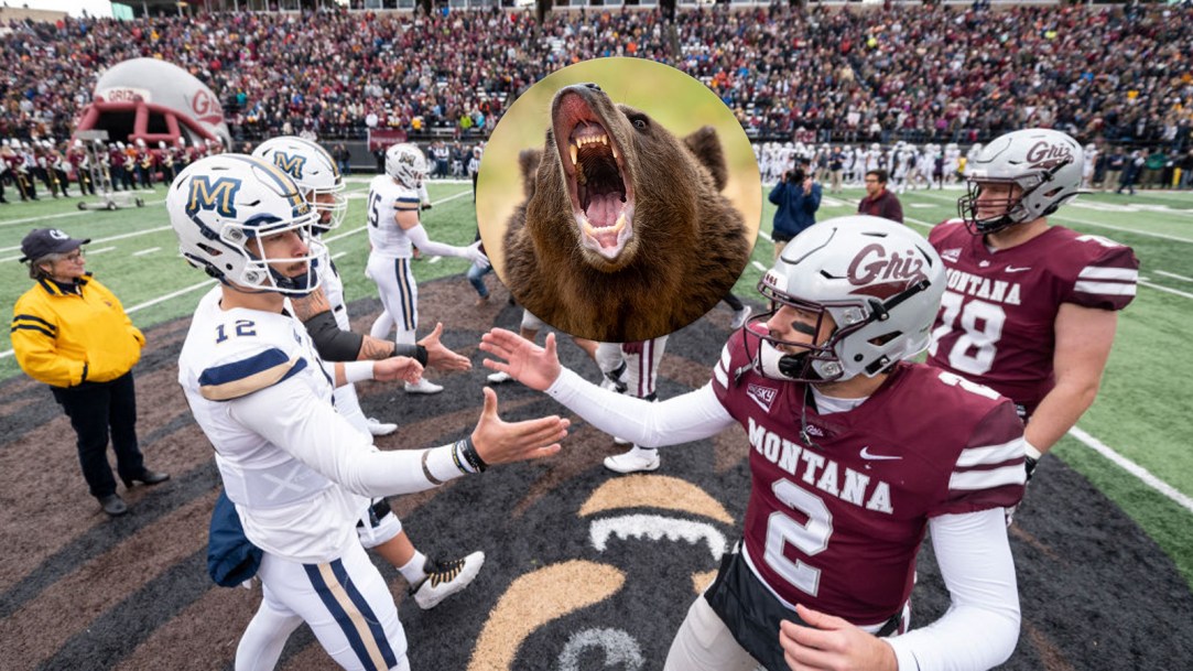 Montana State Grizzly Bear Attack Jaw Football Rivalry