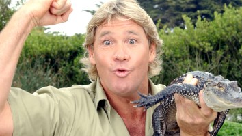 Steve Irwin’s Son Shares Awesome Video After Helping Breed A Turtle From A Species His Dad Discovered