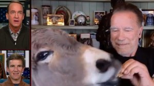 Arnold Schwarzenegger, Donkey, Peyton Manning, Eli Manning